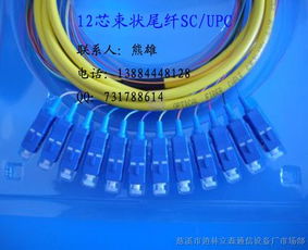 連接數字世界的橋梁 束狀尾纖、光纖跳線與皮線光纜