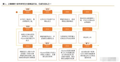 上海鋼聯專題研究報告 大宗商品b2b領軍,資訊業務開拓新版圖