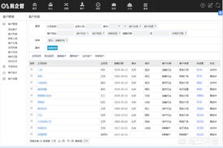 crm系統定制化的優勢及其適用場景有哪些