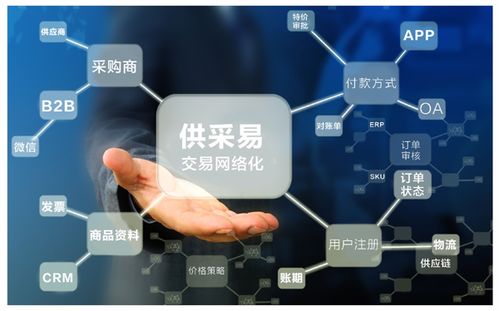 新聞資訊 同徽公司 b2b電子商務(wù)軟件與服務(wù)供應(yīng)商