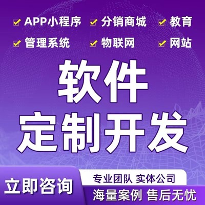 承接軟件開發/小程序開發/APP開發/網站搭建/各行業應用系統應用開發
