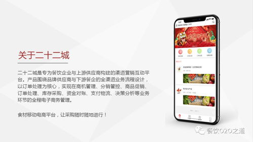 二十二城商城 我們不是菜販子,我們是行業的領航者